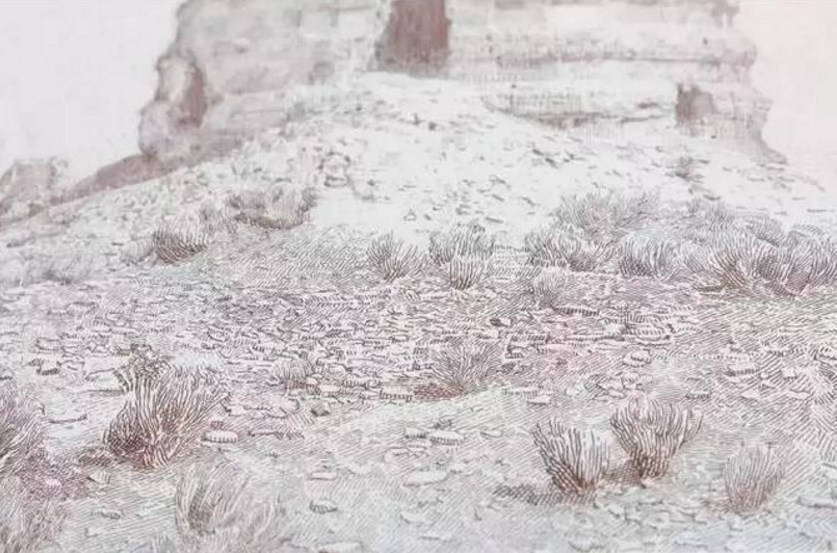 3紐索紋圖防偽有哪些圖案類(lèi)型.png